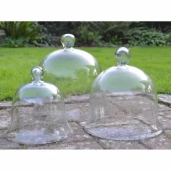 Glass Bell Cloche