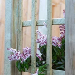 Curved Arch -OUTSUNNY Sales Store 1608115278 76880500